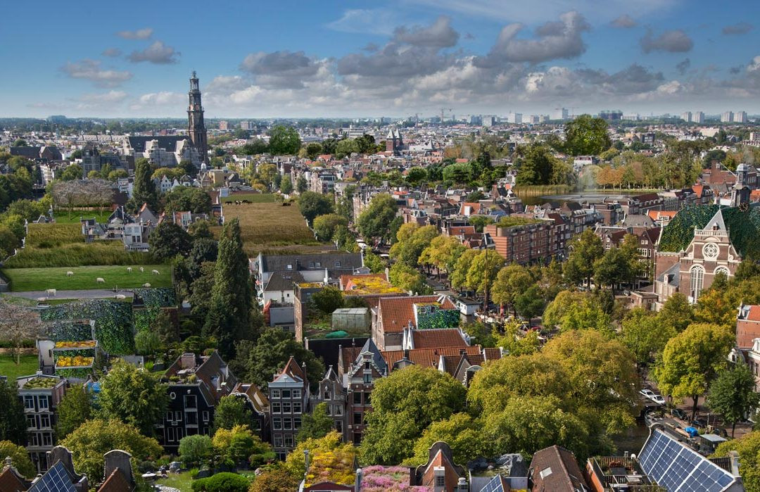 7 jaar Rooftop Revolution groene steden