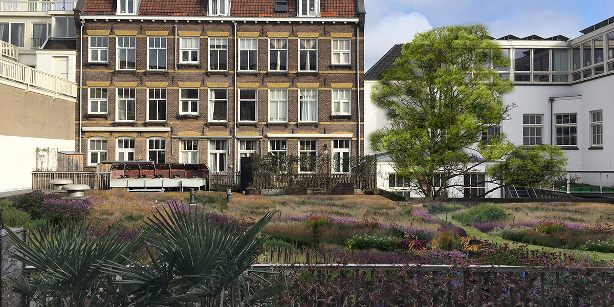 Groen dak Bilderdijk BCC Amsterdam Rooftop Revolution