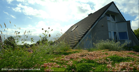 Heemskerk NatureGreen