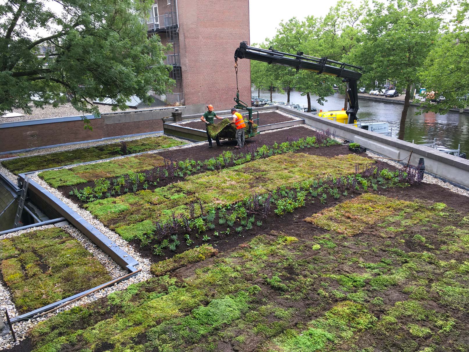 Schinkelhavenkade dakbegeleiding Rooftop Revolution II