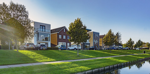 Wijkcampagne groene daken Almere